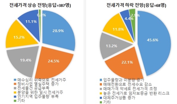 ▲ 2017년 하반기 주택 전세가격 전망 이유. ⓒ 부동산114