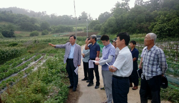 ▲ 나용찬 충북 괴산군수가 29일 태양광발전 인·허가 관련 현장을 방문했다.ⓒ괴산군