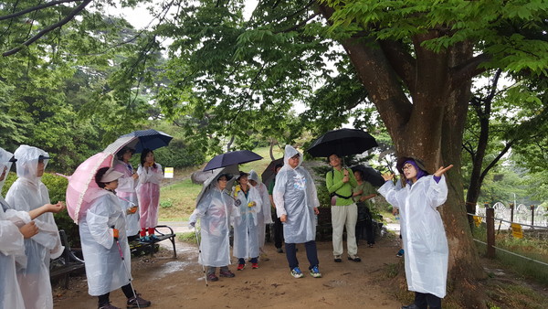 ▲ 청주시문화재단이 1일 비가오는 가운데 ‘세종100리길 청주상당산성 도보여행’을 진행했다.ⓒ청주시