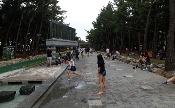 ▲ 송도 송림테마거리가 시민들의 사랑을 받는 ‘도심 속 힐링 숲’으로 각광받고 있다.ⓒ포항시