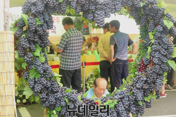 ▲ 축제행사장에 포도로 만들어진 전시물.ⓒ뉴데일리