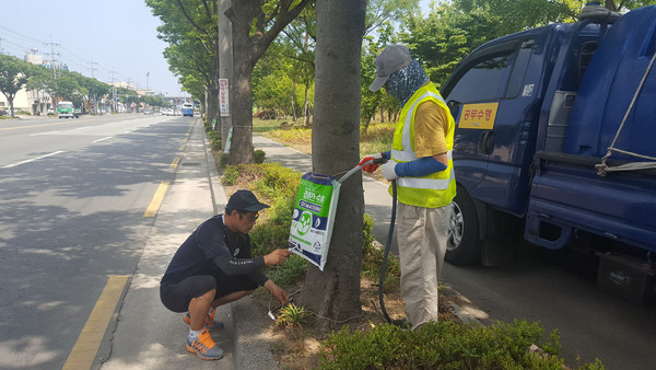 ▲ 포항시는 최근 3개월 이상 이어진 극심한 가뭄과 고온현상으로 도심 가로수가 고사위기를 맞자, 고사예방을 위한 ‘물주머니’를 가로수마다 설치하는 등 긴급 급수대책에 나섰다.ⓒ포항시