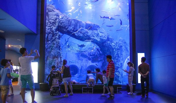 ▲ 다누리아쿠아리움 모습.ⓒ단양군