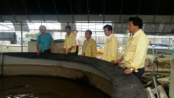 ▲ 19일 충북도의회 산경위 위원들이 7억원대의 피해가 발생한 청주시 미원면 쏘가리양식장을 점검하고 있다.ⓒ충북도의회