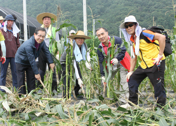 ▲ 충북연회 희망봉사단.ⓒ괴산군