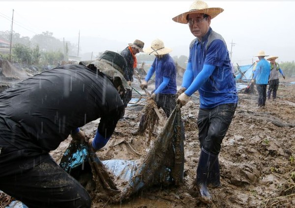 ▲ 김영록 농림식품부 장관과 직원들이 24일 충북 괴산의 수해 현장 일손돕기에 나섰다.ⓒ충북도