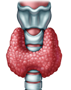 ▲ ⓒ서울대병원