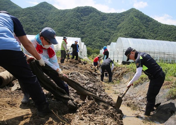 ▲ 충북경찰청 직원들이 26일 괴산군 청천면에서 수해복구에 열중하고 있다.ⓒ충북경찰청