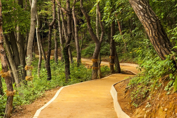 ▲ 북구청이 관음동 양지마을 남편에 명봉산(明峰山)의 등산로 초입부에 8월 중순경 맨발산책로를 조성한다. 사진은 부산 땅뫼산에 조성된 맨발산책로.ⓒ북구청