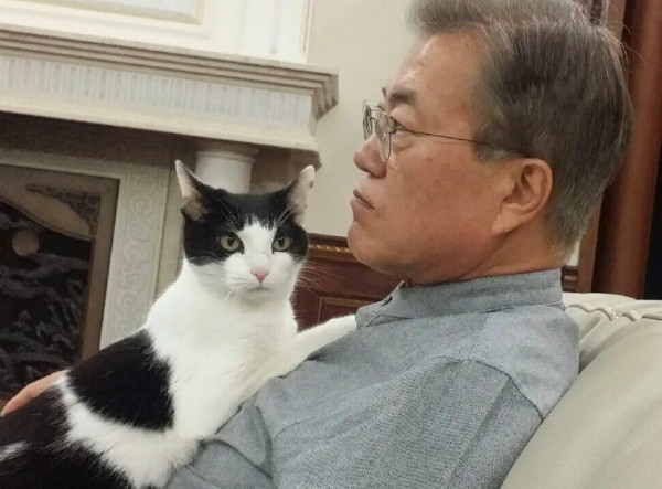 ▲ 문재인 대통령이 휴가에서 복귀한 직후, 도널드 트럼프 미국 대통령 및 아베 신조 일본 내각총리대신과 대북 제재 방안 관련 통화를 가질 예정이다. 사진은 지난 5월 11일 아베 총리와 통화하고 있는 문재인 대통령의 모습. ⓒ뉴시스 사진DB