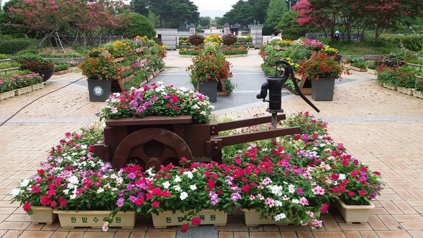 ▲ 한밭수목원 우리꽃 전시회 모습.ⓒ대전시