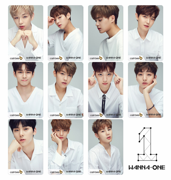 ▲ 워너원 MD상품. ⓒ티몬