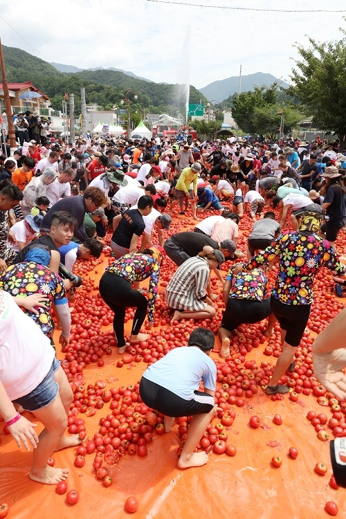 ▲ 오뚜기 '화천 토마토축제', 총 11만여명 방문. ⓒ오뚜기