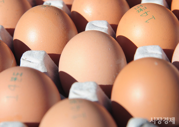 정부·여당이 살충제 계란 사태를 예견하고도, 제대로 된 조치를 하지 않았다는 의혹이 제기돼 논란이 커질 것으로 보인다. ⓒ뉴데일리 공준표 기자