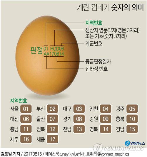 달걀 껍데기 숫자의 의미.ⓒ연합뉴스