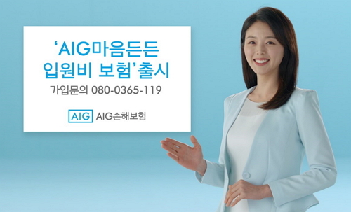 ▲ ⓒAIG손해보험