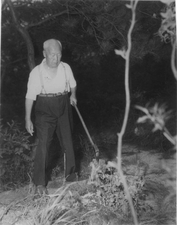 ▲ 이승만의 스트레스 해소법 도끼질. 서울 경무대 뒷산 나무 그루터리를 찍고 있다.(자료사진)