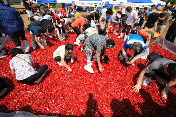 ▲ 지난해 ‘황금고추를 찾아라’ 이벤트 행사 장면.ⓒ괴산군