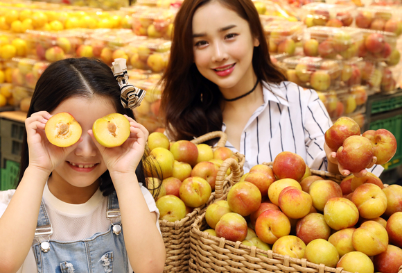 ▲ 이마트 용산점에서 모델들이 가을에 먹는 자두인 '추희 자두' 행사를 맞아 추희 자두를 선보이고 있다. ⓒ이마트