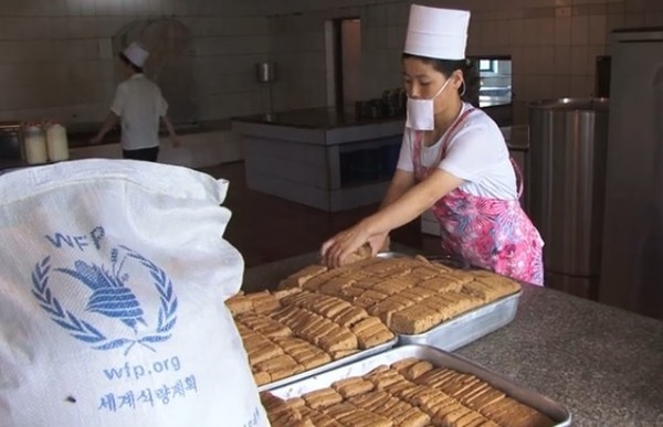 북한의 일부 특권층이 국제사회로부터의 인도적 지원 물품을 빼돌려 전용하고 있는 것으로 알려졌다. 사진은 유엔 세계식량계획(WFP) 홈페이지에 게시된 '영양실조에 걸린 북한 어린이들의 지적·신체적 발달이 매우 우려된다'는 내용의 영상 일부.ⓒWFP 홈페이지 게재영상 화면캡쳐