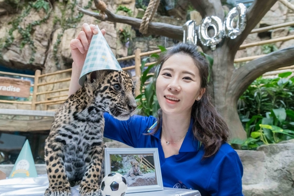 ▲ 한화 아쿠아플라넷 일산, 아기 재규어 '잭'의 100일 잔치 축하 이벤트. ⓒ한화호텔앤드리조트