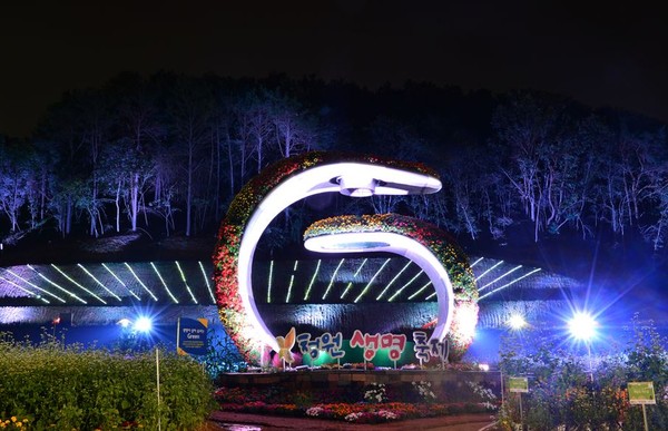 ▲ 지난해 청원생명축제 야경.ⓒ청주시