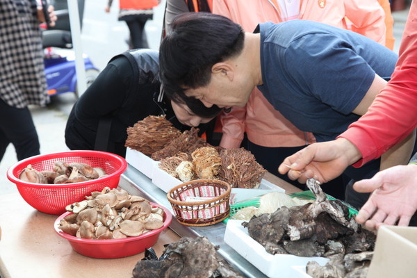 ▲ 충북 영동군 자연산버섯축제 자료사진.ⓒ영동군