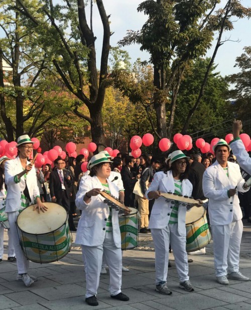 ▲ 브라질 퍼레이드 공연팀 에스꼴라 알레그리아ⓒ피움컴퍼니