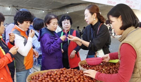 ▲ 2017 보은대추축제장을 방문한 관광객들이 달콤한 대추를 맛보고 있다.ⓒ보은군