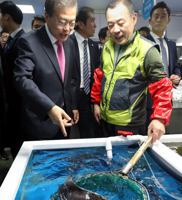 ▲ 문재인 대통령이 26일 여수서시장을 찾아 수산시장 상인과 대화를 나누고 있다. ⓒ뉴시스 사진DB