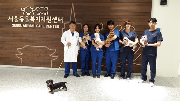 ▲ 서울동물복지지원센터 내 직원들이 반려견을 들고 있다. ⓒ서울시