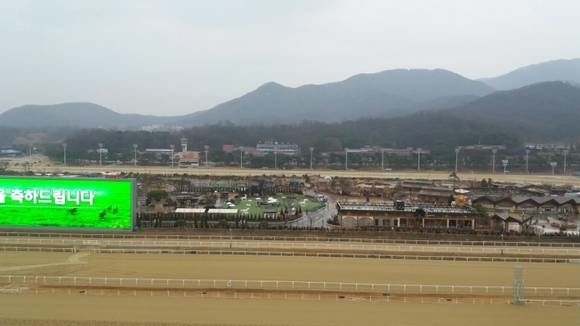 ▲ 과천 마사회 경마장 내 위니월드 모습. ⓒ뉴데일리DB