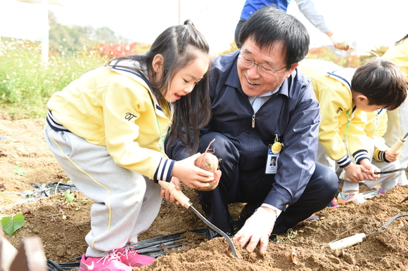 ▲ 농협유통 김병문 대표이사가 어린이 농부와 함께 친환경 벼 수확을 하고 있다. ⓒ농협유통