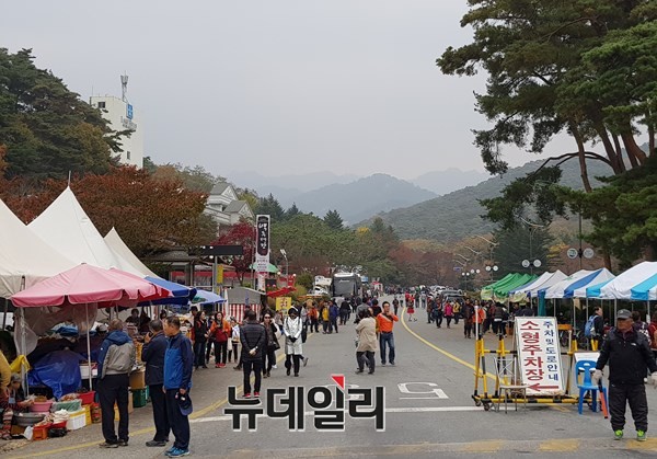 ▲ 본격적인 단풍철을 맞아 29일 충북 보은군 속리산에는 전국에서 수만명의 단풍관람객들이 속리산 국립공원을 찾았다. 사진은 충북 보은군 속리산면 속리산 입구.ⓒ김정원 기자