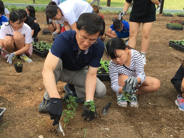 ▲ 조선 중기 다독왕 김득신 성역화 사업을 추진하는 등 특히 증평교육에 관심이 높은 홍성열 증평군수가 어린이들과 함께 묘종을 밭에 옮겨 심고 있다.ⓒ증평군