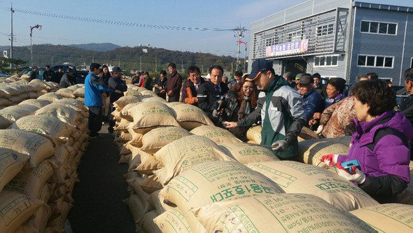 ▲ 군위군 효령면 소재 영풍 RPC에서 열린 공공비축 포대벼(건벼) 매입 장면.ⓒ군위군