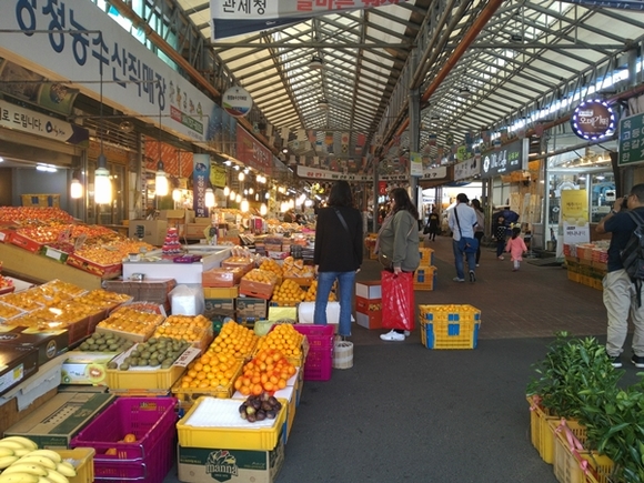 ▲ 제주 동문시장 내 모습. 노랗게 익은 노지감귤·한라봉·황금향·천혜향 등 다양한 감귤들이 방문객의 발길을 사로잡고 있다. ⓒ뉴데일리DB