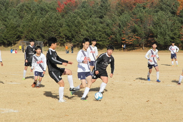 ▲ 지난 11일 열린 예천군축구협회장기 대회 장면.ⓒ예천군