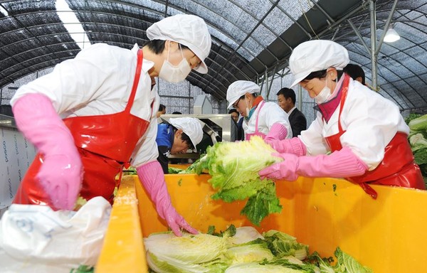 ▲ 충북 청주시의 대표 브랜드인 청원생명 절임배추 작업모습.ⓒ청주시