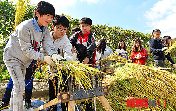 ▲ 2014년 10월 15일 서울 관악구 과학전시관 노작체험관에서 탈곡기를 체험하는 초등학생들. 한국에서는 이미 '체험용 유산'이 된 탈곡기가 최근 북한군 내에서 쓰이고 있다고 한다. ⓒ뉴시스. 무단전재 및 재배포 금지.