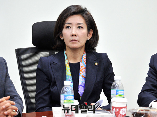 나경원 자유한국당 의원. ⓒ뉴데일리 DB