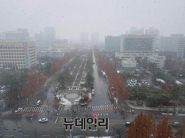 대전 보라매공원의 눈날리는 모습.ⓒ김정원 기자