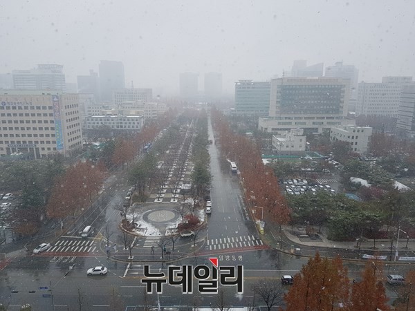 ▲ 대전 보라매공원의 눈날리는 모습.ⓒ김정원 기자