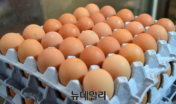 ▲ 시중에 판매되는 계란. ⓒ뉴데일리DB