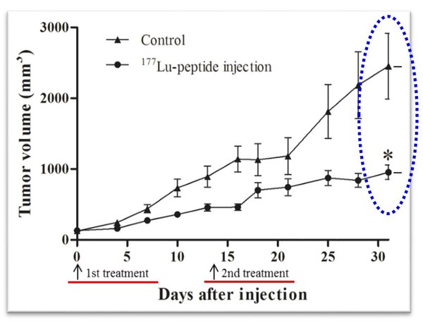 ▲ 방사성 약물전달체의 치료 효과.ⓒ한국원자력연구원