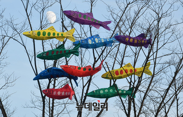 ▲ 화천 주민들은 지역 최대 행사로 꼽히는 '산천어축제'가 전국적으로 이름을 알리기 시작한 것은 이외수의 덕이 아니라고 입을 모으고 있다. ⓒ뉴데일리 정상윤 사진기자