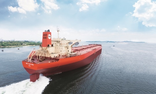 ▲ 현재 Vale사(社)와 철광석 장기운송계약을 수행 중인 팬오션의 'SEA FUJIYAMA'호ⓒ팬오션