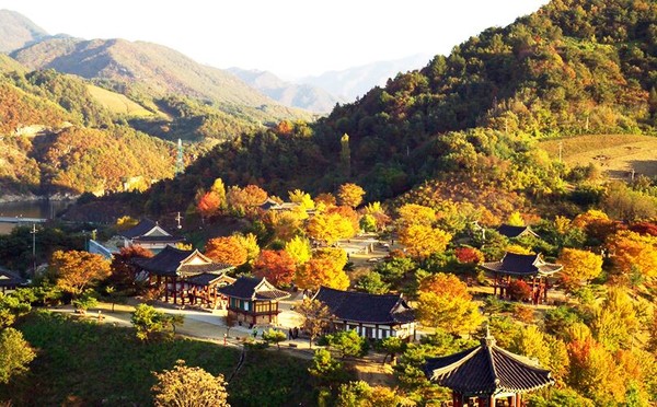 ▲ 충북 제천의 대표적인 관광지인 청풍문화재단지의 가을 풍경.ⓒ충북도