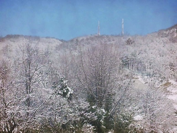 ▲ 청주 우암산 설경.ⓒ독자제공