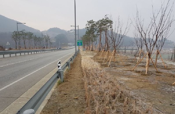 ▲ 충북 청주시의 관문인 보은접경 19번국도의 경관 개선 사업이 완료됐다.ⓒ청주시